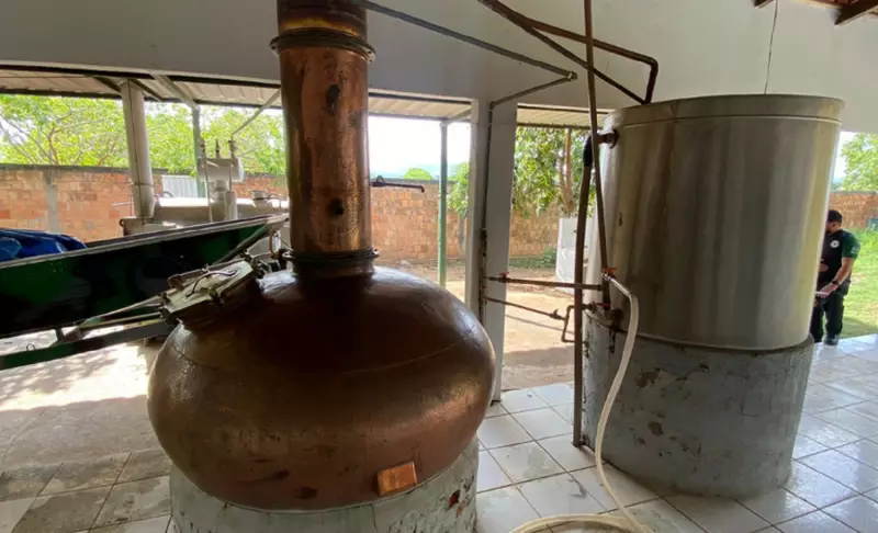 Operação apreende 11 mil litros de cachaça irregular em Combinado