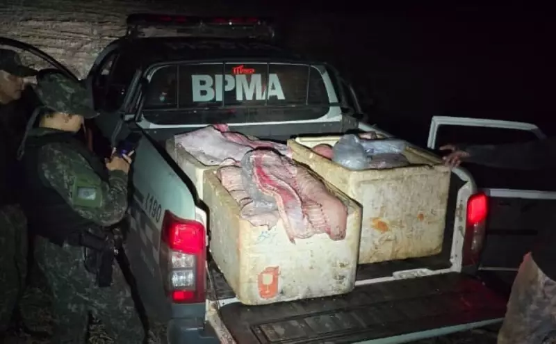 Operação apreende 350 kg de pirarucu ilegal próximo a terra indígena no Tocantins