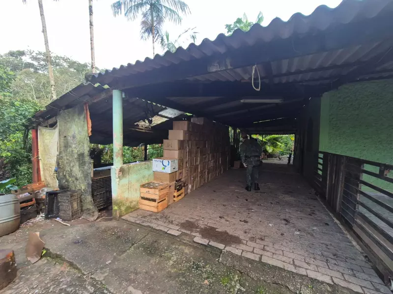 Operação aprende 1,6 mil potes para palmito ilegal no Vale do Ribeira