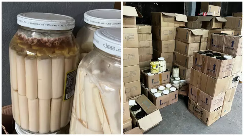 Operação combate extração ilegal de palmito juçara em SP