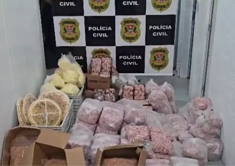 Operação da Polícia apreende 774 kg de carne e frango impróprios para consumo em açougue de Americana