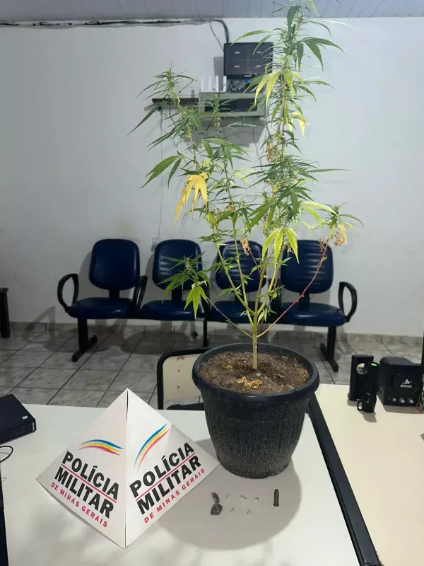 Operação em São Geraldo do Baixio apreende crack, maconha e munição em ação policial