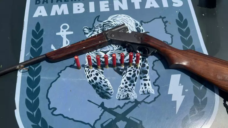 Operação prende dois dos maiores caçadores de onças do Brasil em Goiás | G1 Goiás