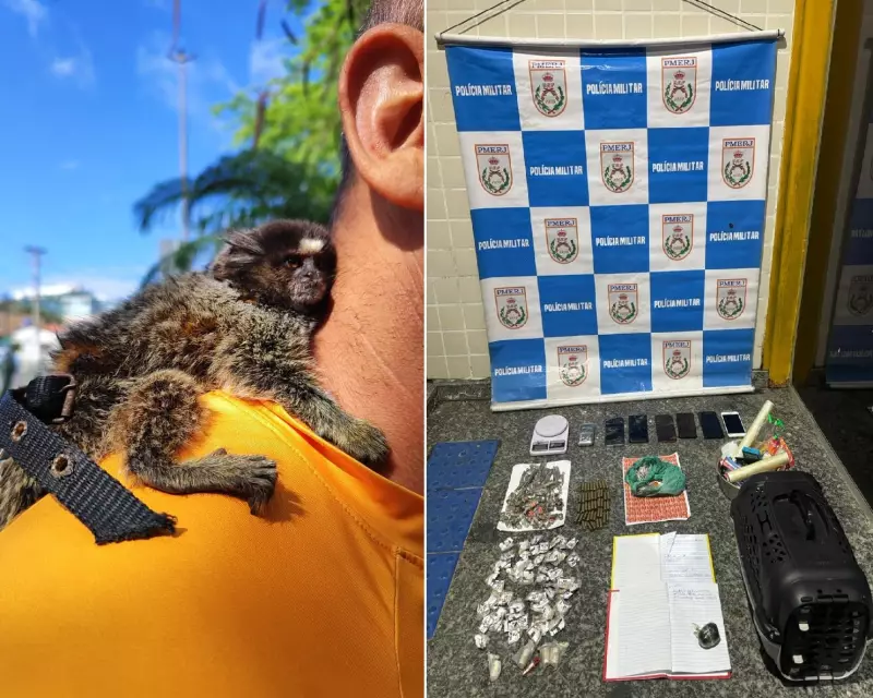 Operação prende traficante e resgata sagui em cativeiro em Cabo Frio