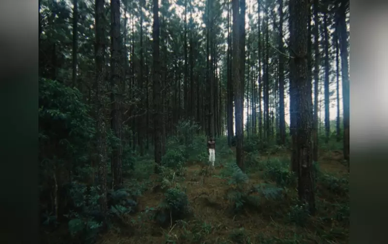 Orgulho Interiorano! Comercial gravado no interior de SP é finalista em prêmio internacional na Polônia