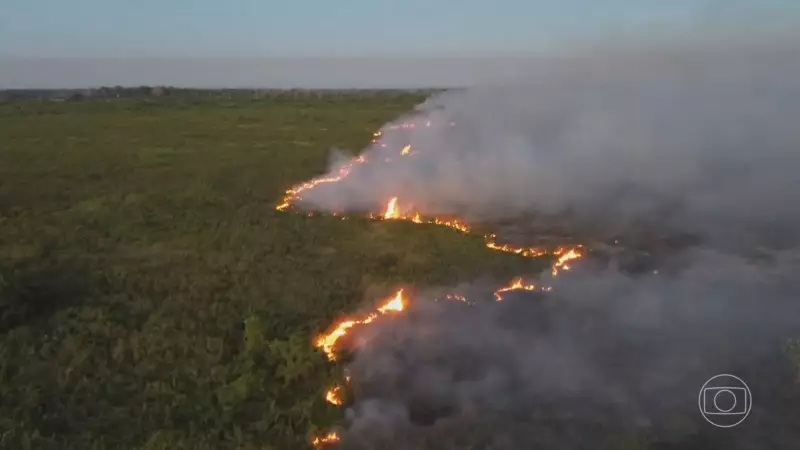 Pantanal em Chamas Climáticas: Temperatura Média Salta 1,8°C e Rompe Meta do Acordo de Paris