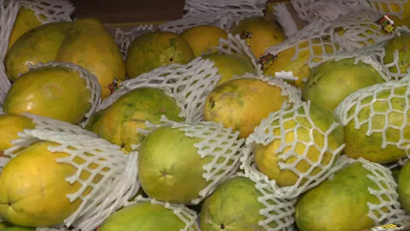 Papaya em Alta: Preços Disparam até 89% nas Principais Regiões Produtoras do Brasil