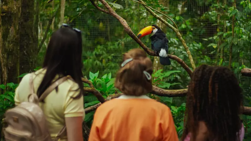 Parque das Aves: renove 2025 em Foz do Iguaçu com 1.400 animais
