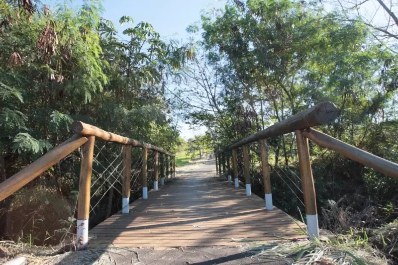 Parque Gávea em Uberlândia: lazer, ciência e pets em 2,7 km de trilhas