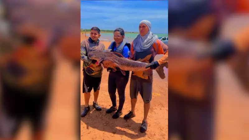 Pescador surpreende ao fisgar pintado gigante de quase 50 kg em prainha do interior paulista