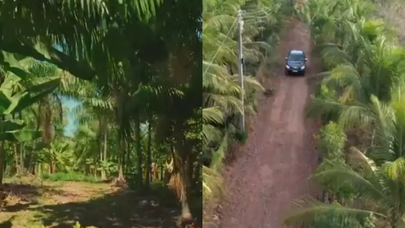 Piauí investe em sustentabilidade com tijolos ecológicos e agrofloresta