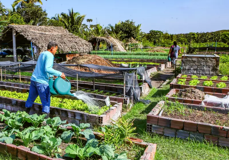 Piauí oferece 20 bolsas de R$ 3 mil para cooperativas agrícolas