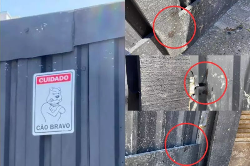 Pit bull ataca invasor em obra de Praia Grande após tentativa de arrombamento