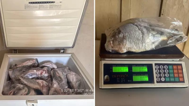 Polícia Ambiental apreende 15 kg de peixe e aplica multas na Piracema