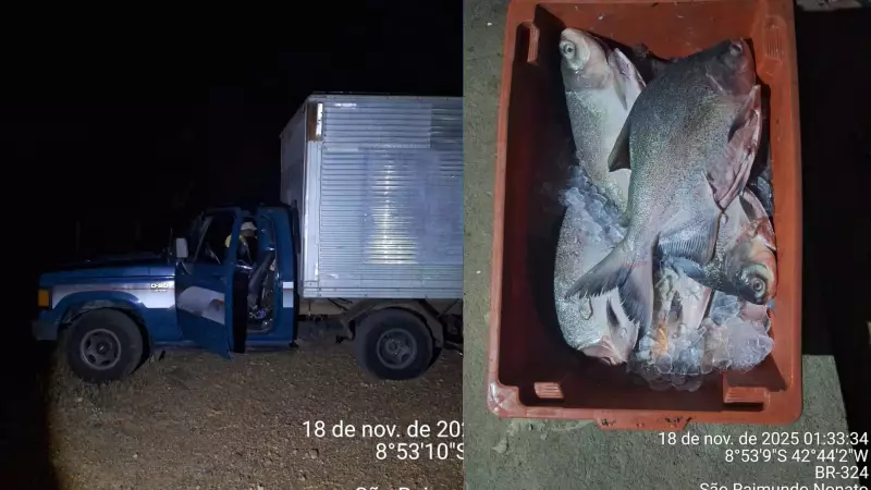 Polícia apreende 1 tonelada de pescado irregular no Piauí
