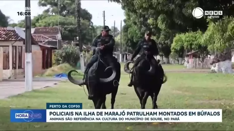 Policiais patrulham ilha de Marajó montados em búfalos durante COP30