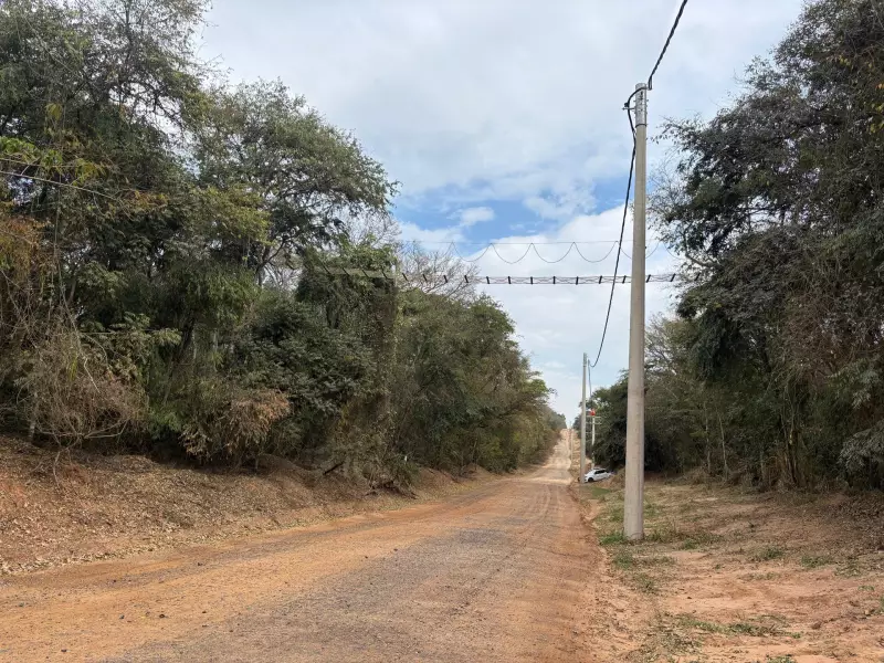 Ponte suspensa a 16 metros protege muriquis-do-sul em Barreiro Rico