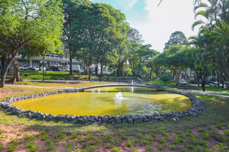 Prefeitura de Bauru investiga envenenamento de peixes em praça