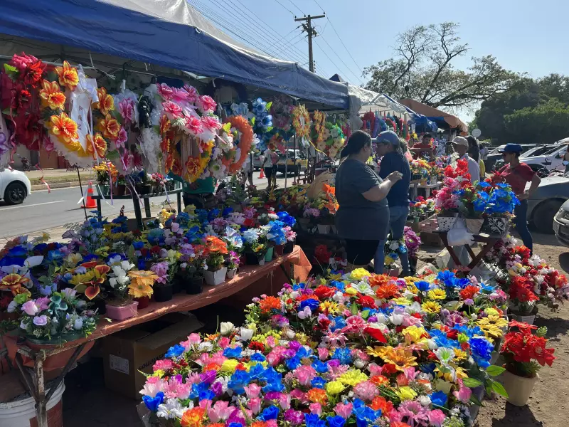 Preço das Flores Dispara em Campo Grande para o Dia de Finados: Alta Chega a 194%