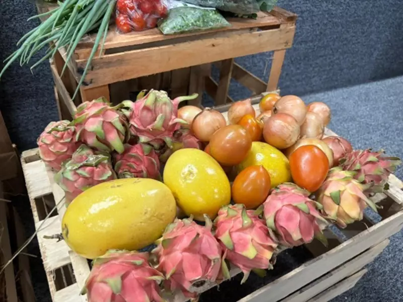 Presidente Prudente lança Programa de Aquisição de Alimentos com 95 agricultores