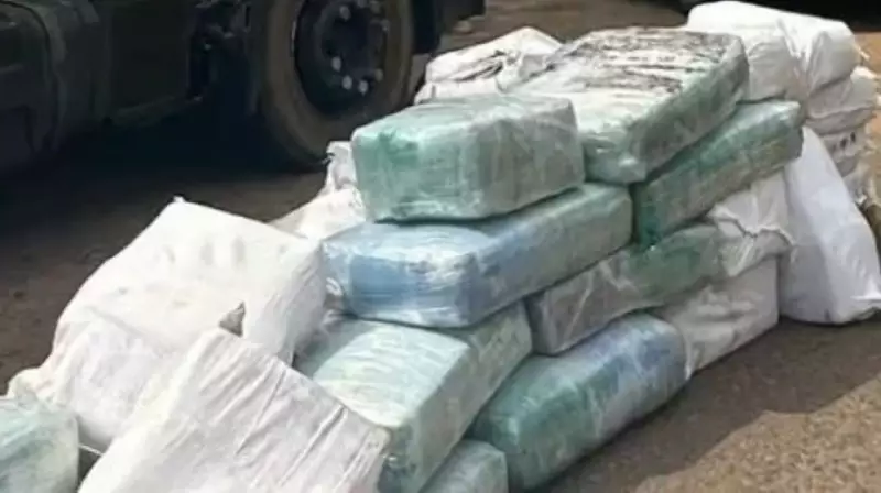 PRF apreende 924 kg de skunk no MA, maior apreensão de drogas da história