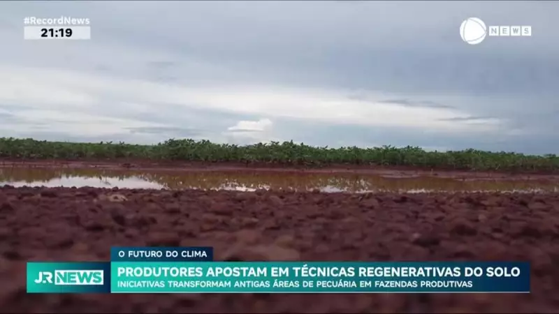 Produtores regeneram solos degradados e aumentam produtividade em MT