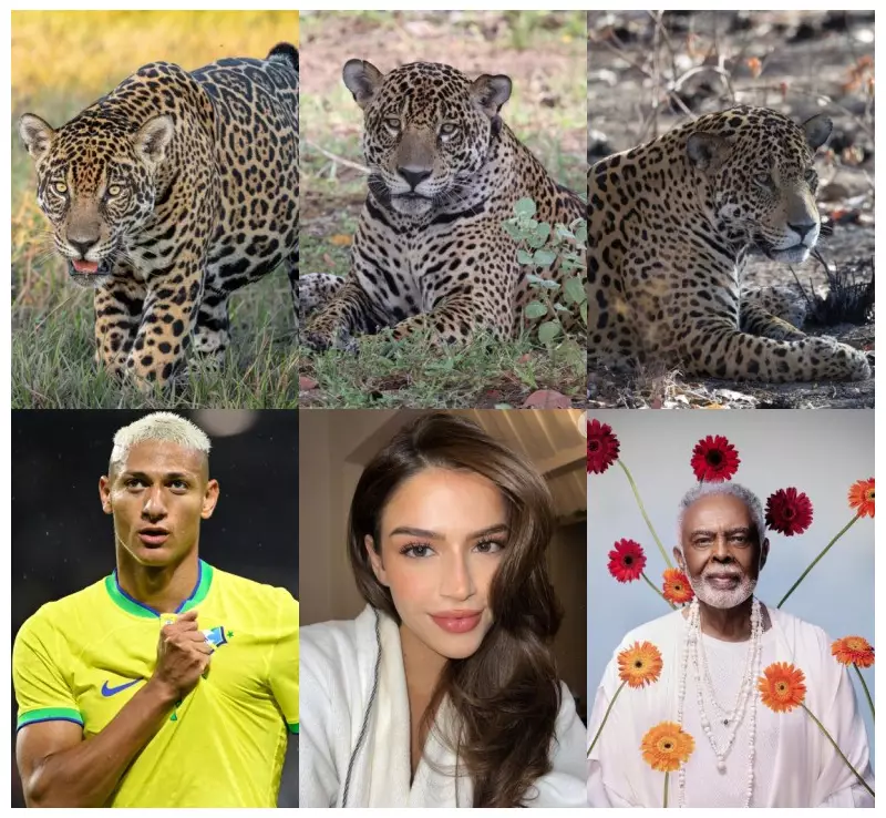 Rafa Kalimann adota onça-pintada após onçafari no Pantanal de MS