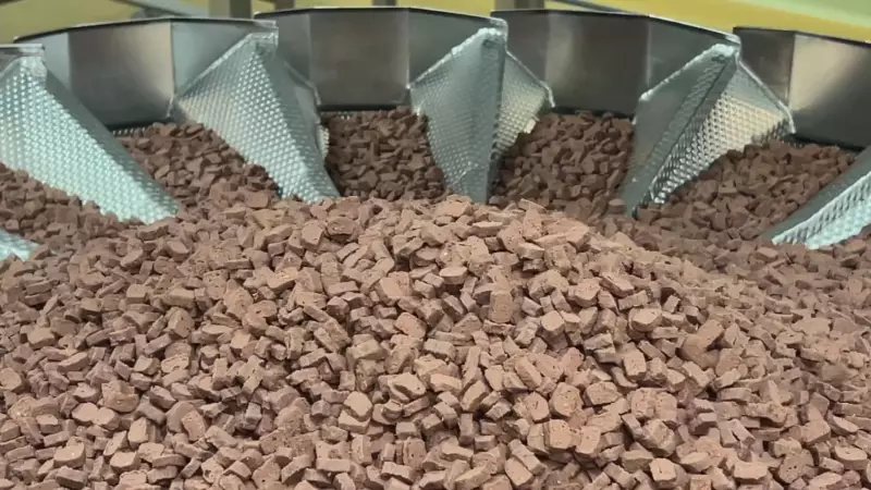 Ração Certa Pode Ser a Chave para uma Vida Mais Longa e Saudável do Seu Cão