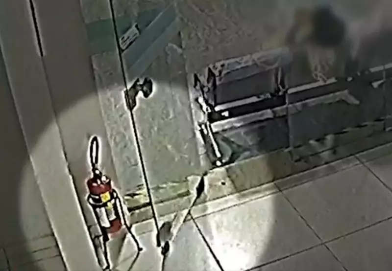 Rato é flagrado em porta da FUSAM durante greve em Caçapava; vídeo viraliza