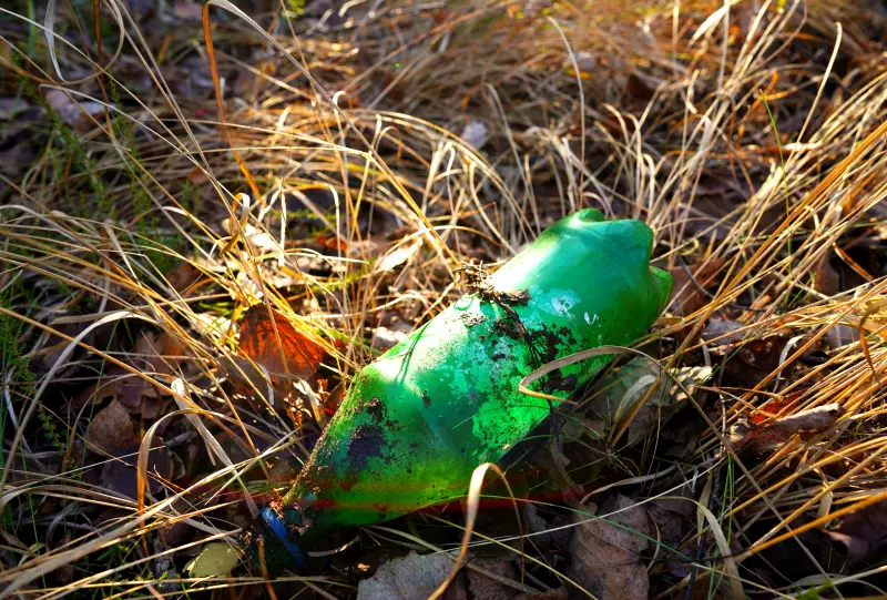 Reciclagem no Brasil: Será que sua separação do lixo está sendo em vão?