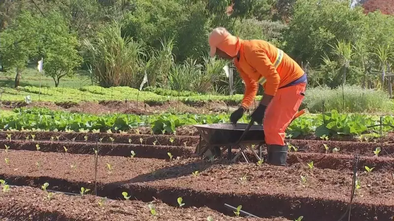 Reciclagem que Alimenta: Projeto Social em Jundiaí Transforma Resíduos em Cestas Básicas para 600 Famílias