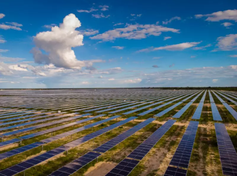 Rede D'Or garante 100% de energia limpa em 79 hospitais