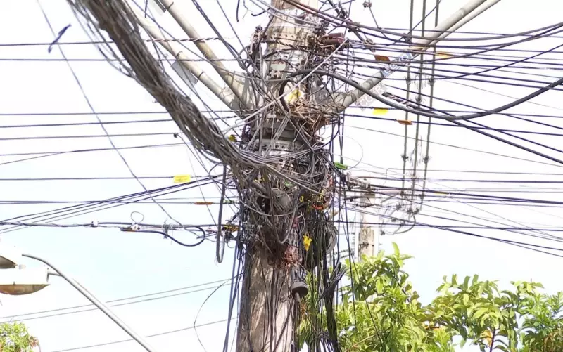 Ribeirão Preto: 5 mil notificações para retirar fios soltos em 2024