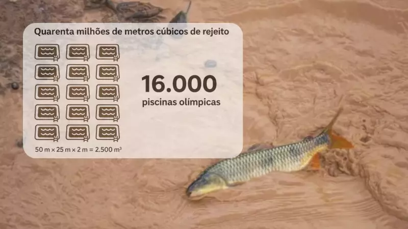 Rio Doce: 10 anos após tragédia de Mariana, rio ainda sofre com contaminação e promessas não cumpridas