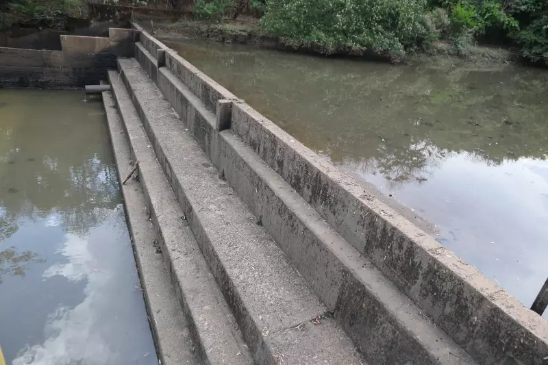 Rio Uberaba com vazão crítica de 1.170 l/s afeta abastecimento em Uberaba