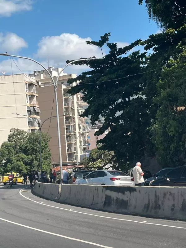Árvore cai sobre carro e interdita Autoestrada Grajaú-Jacarepaguá