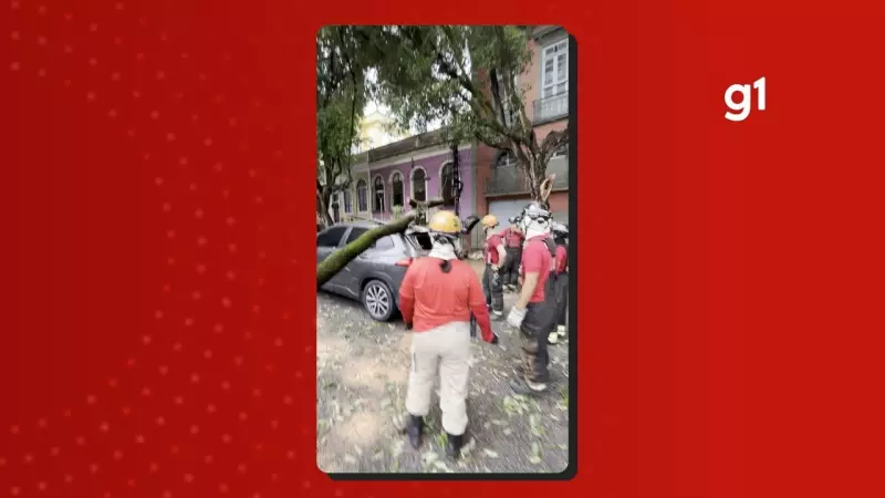 Árvore cai sobre carro e interdita Avenida Ferreira Pena em Manaus