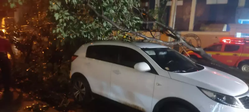 Árvore cai sobre carro no Centro de Salinas após forte chuva