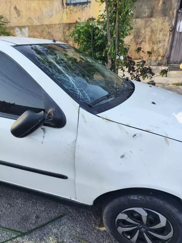Árvore de grande porte cai e atinge carro no Prado, Maceió