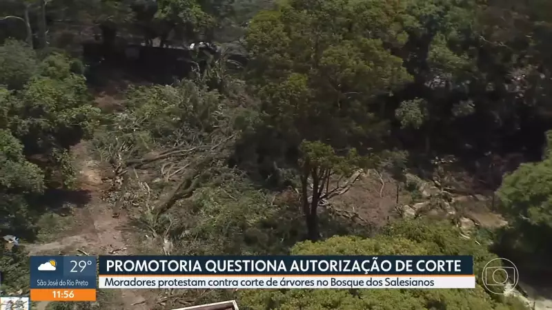 Árvores derrubadas na Lapa, SP, geram protesto acalorado e intervenção da Guarda Civil