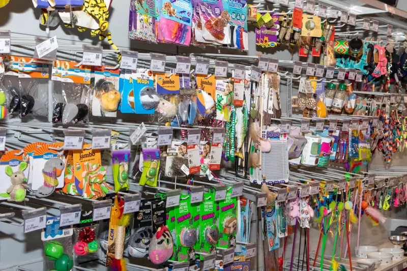 SC lidera buscas por móveis de jardim e produtos pets na Black Friday