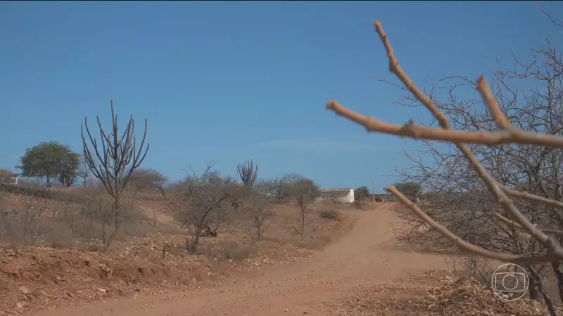 Seca extrema atinge 1,5 milhão no Sertão de Pernambuco