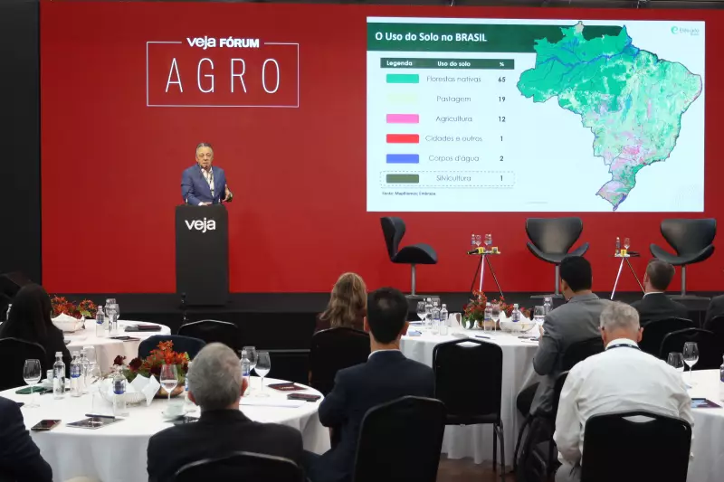 Setor de florestas plantadas movimenta US$ 15,7 bi e gera 2,8 mi empregos