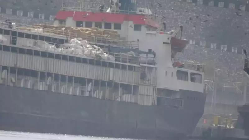 Spiridon II: Navio com 3 mil vacas retorna ao Uruguai após crise