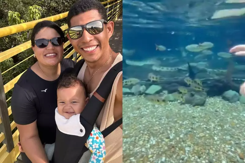 Sucuri de 3 metros surpreende turistas em Rio da Prata, Bonito