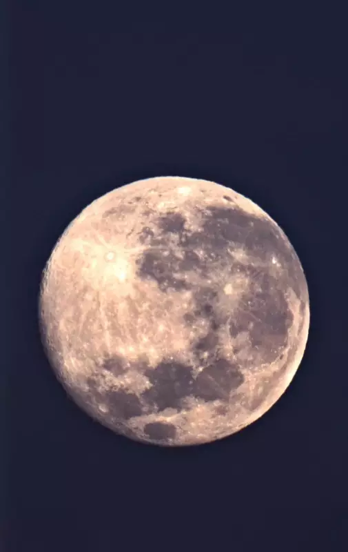 Superlua dos Cervos Ilumina o Céu de Pernambuco: Fotos Espetaculares do Fenômeno