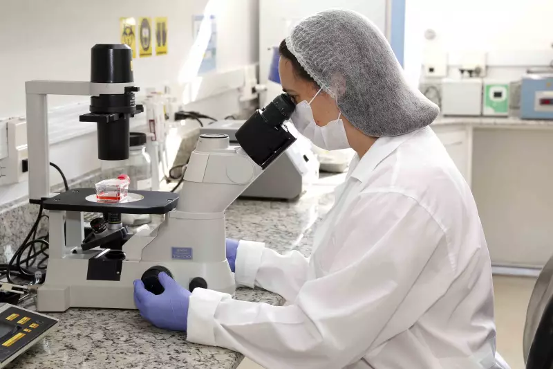 SUS terá produção nacional de 2 medicamentos contra câncer e doenças oculares