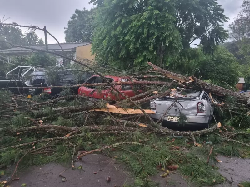 Tempestade em Curitiba derruba árvores sobre carros e causa estragos