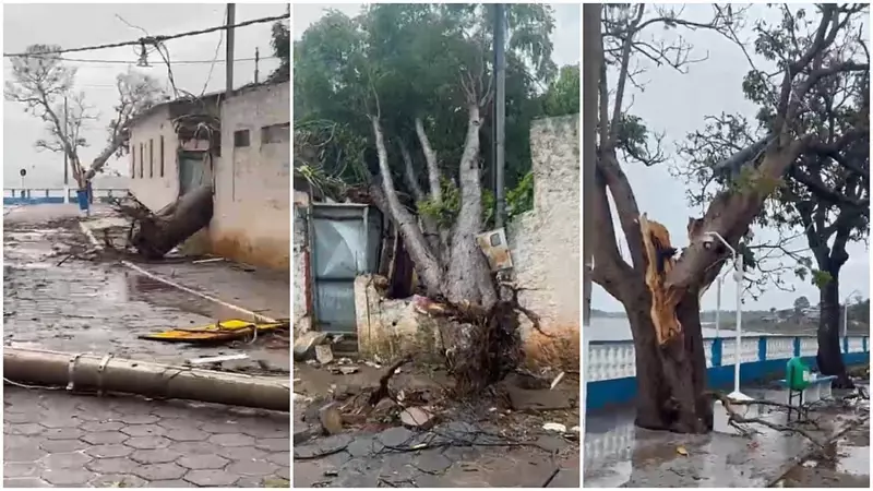 Temporal causa destruição em Fama, MG: 50 casas afetadas e marina destruída