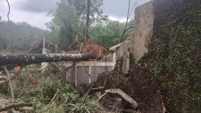 Temporal com ventos fortes causa estragos e deixa Serra Negra no escuro